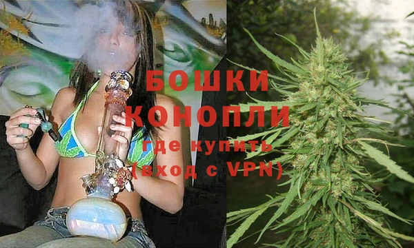 ECSTASY Кукмор