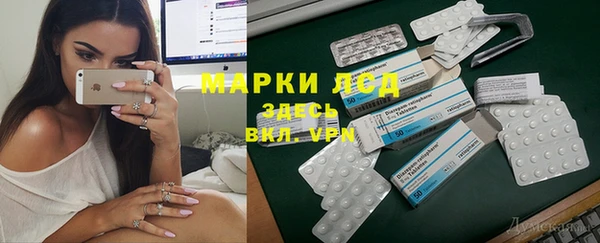 ECSTASY Кукмор
